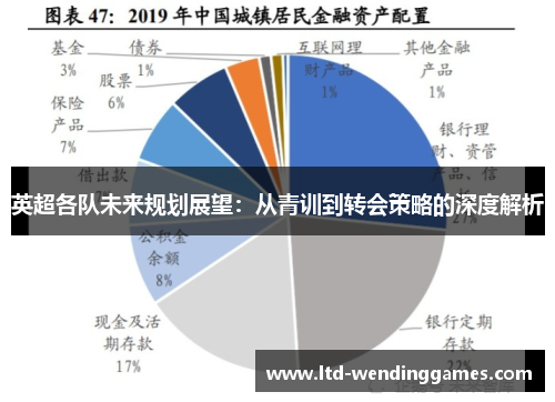 英超各队未来规划展望：从青训到转会策略的深度解析