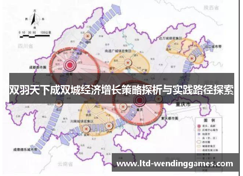 双羽天下成双城经济增长策略探析与实践路径探索