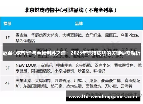 冠军心态塑造与赛场制胜之道：2025年竞技成功的关键要素解析
