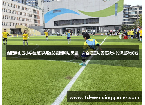 合肥蜀山区小学生足球训练悲剧回顾与反思：安全隐患与责任缺失的深层次问题