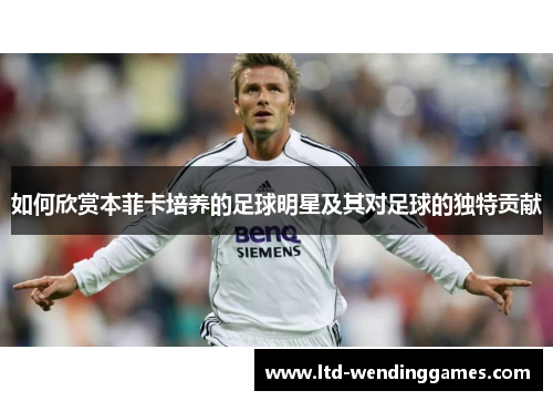 如何欣赏本菲卡培养的足球明星及其对足球的独特贡献