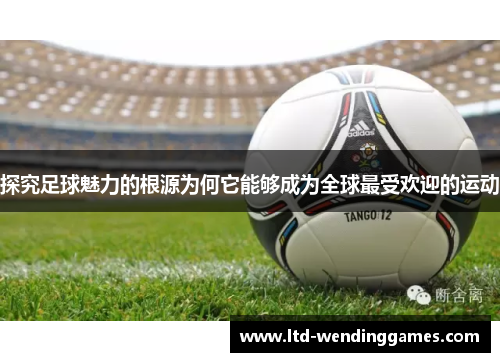 探究足球魅力的根源为何它能够成为全球最受欢迎的运动