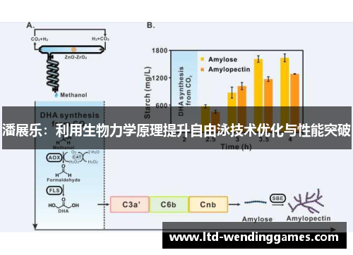 潘展乐：利用生物力学原理提升自由泳技术优化与性能突破