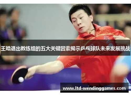 王皓退出教练组的五大关键因素揭示乒乓球队未来发展挑战